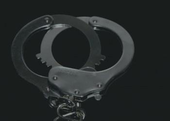 voiceformenindia.com