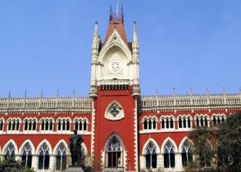 voiceformenindia.com