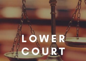 voiceformenindia.com