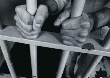 voiceformenindia.com