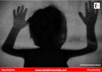 voiceformenindia.com