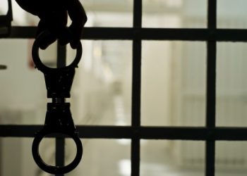 voiceformenindia.com