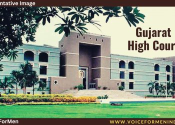 voiceformenindia.com