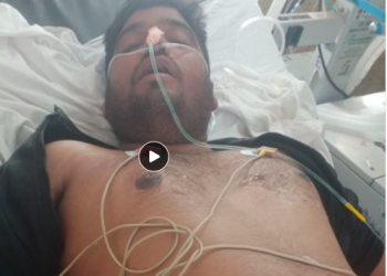 voiceformenindia.com