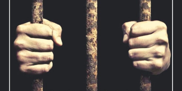 voiceformenindia.com