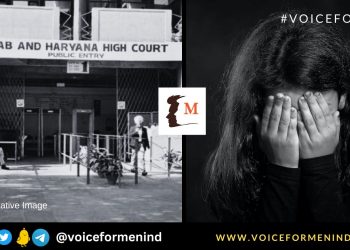 voiceformenindia.com