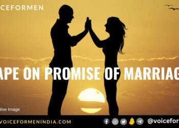 voiceformenindia.com