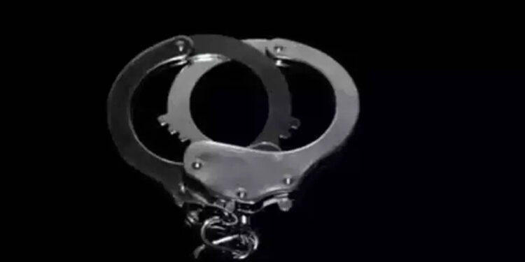 voiceformenindia.com