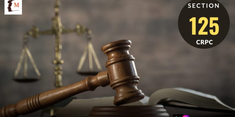 voiceformenindia.com